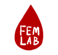 Fem Lab